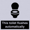 this-toilet-flushes-automatically~